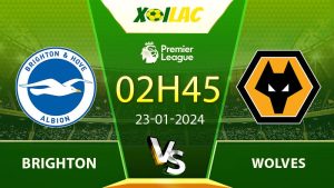 Soi kèo Brighton vs Wolves