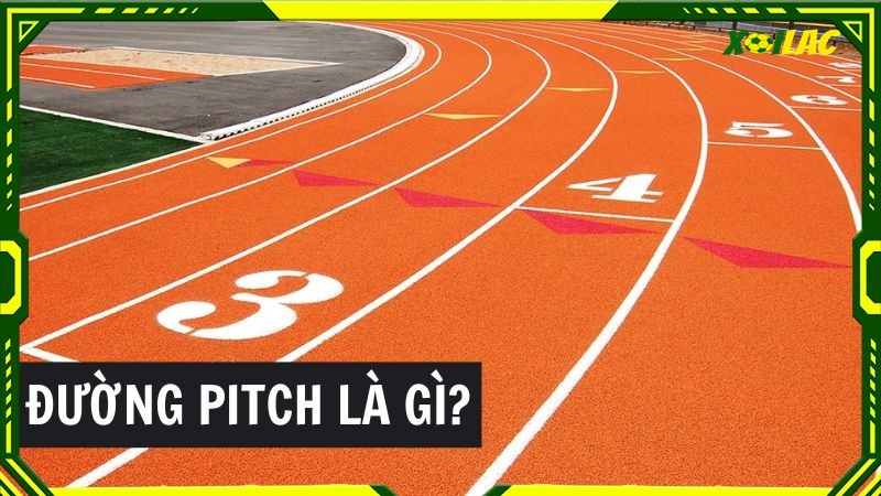 Tìm hiểu khái niệm đường pitch là gì?